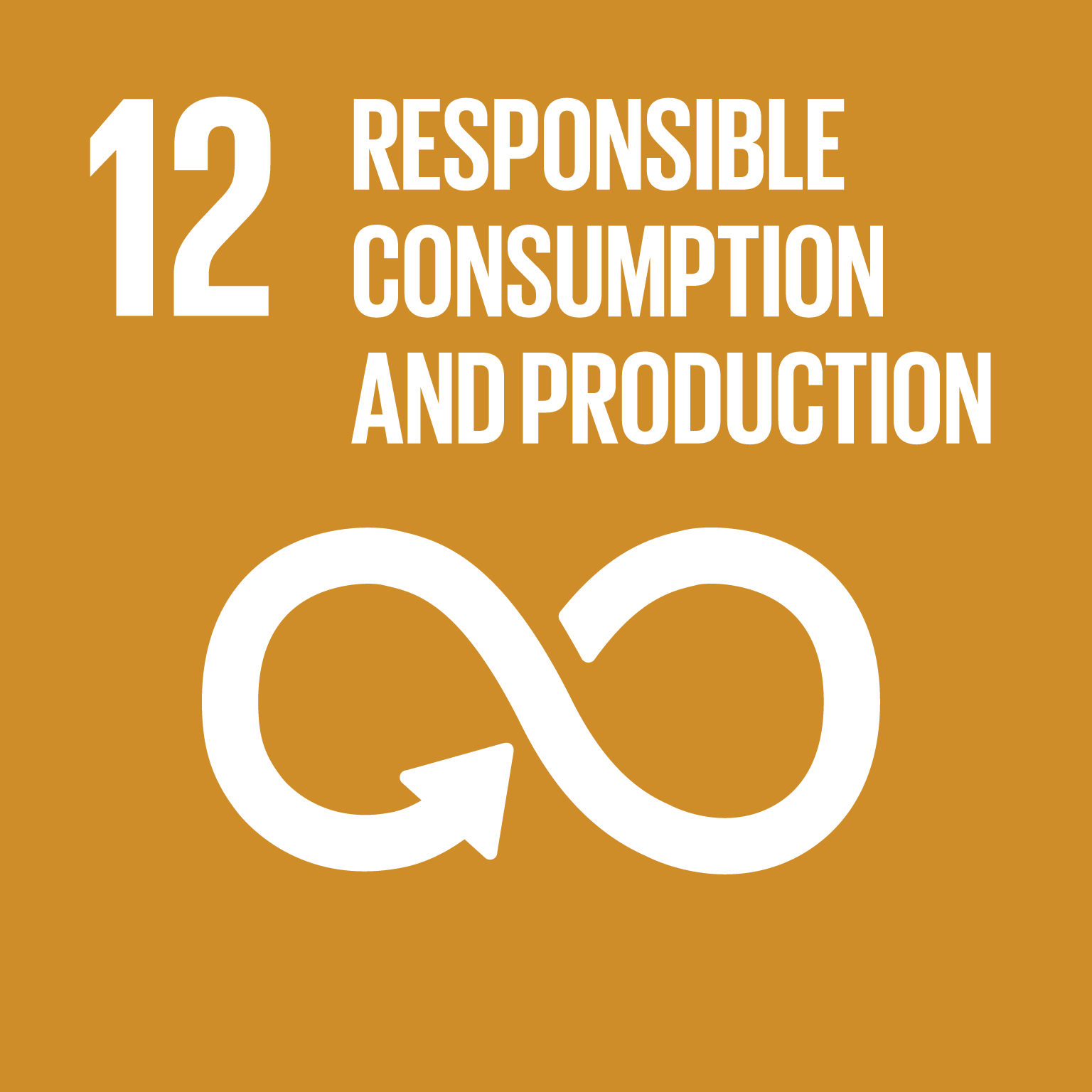SDG 12 - Responsible Consumption & Production